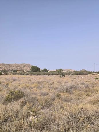 Terreno en Agost photo 4
