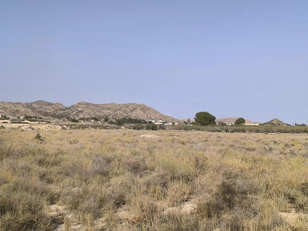 Land for sale in August, Alicante photo 5
