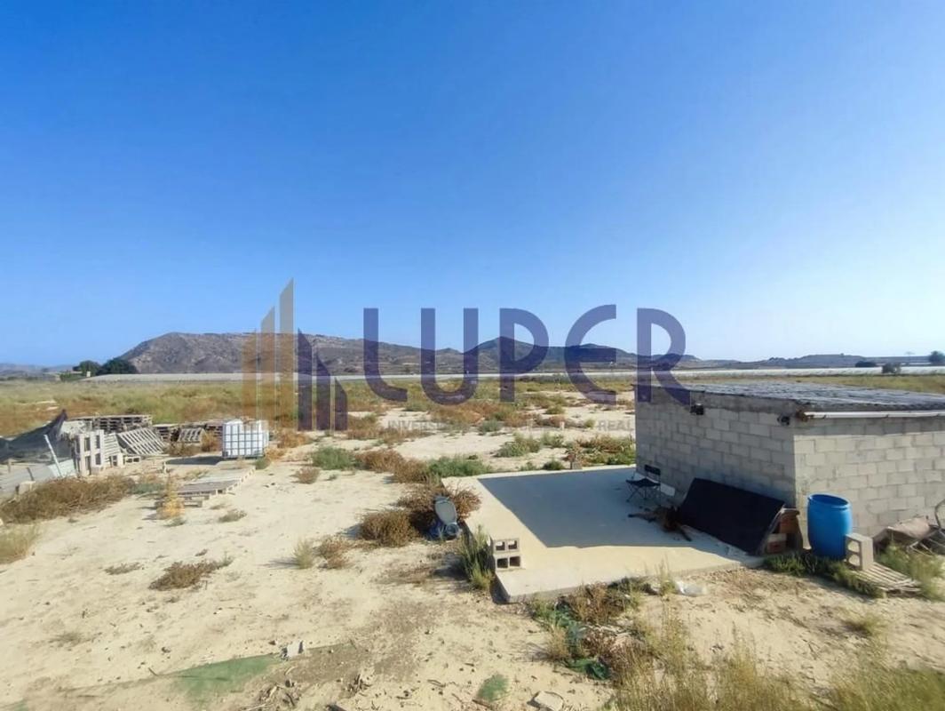 Land for sale in August, Alicante photo 2