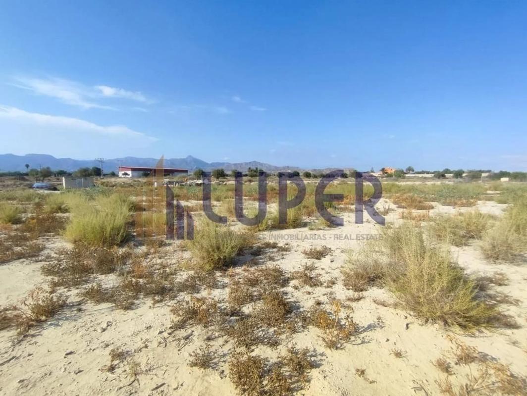 Land for sale in August, Alicante photo 3