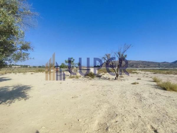 Terreno en Agost photo 4