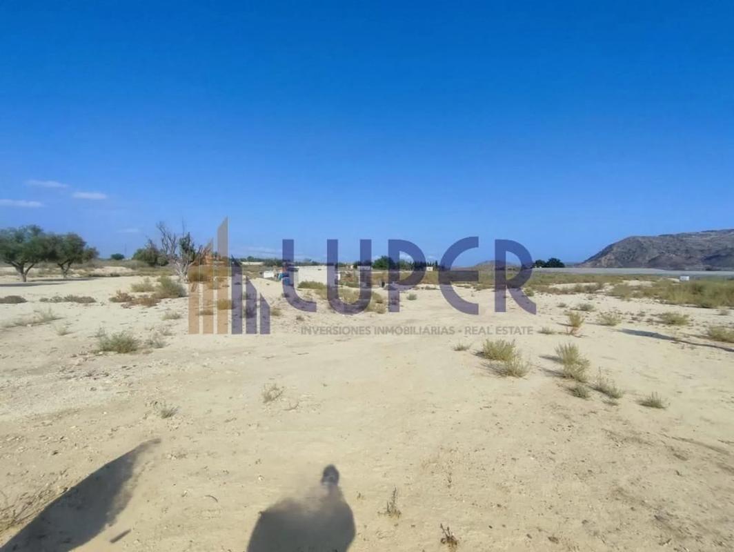Land for sale in August, Alicante photo 5