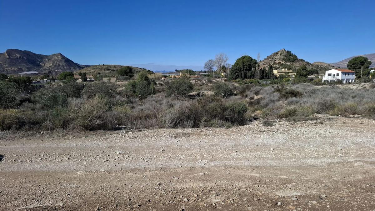 Land for sale in August, Alicante photo 1
