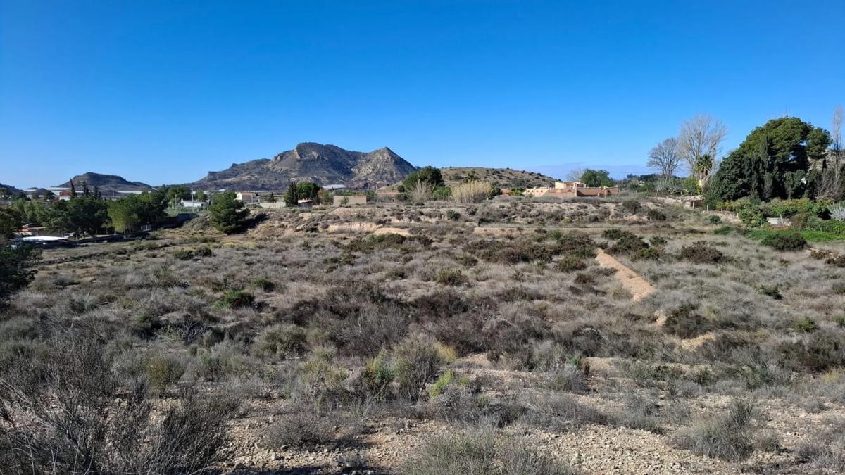 Land for sale in August, Alicante photo 3