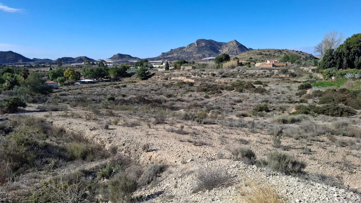 Land for sale in August, Alicante photo 4