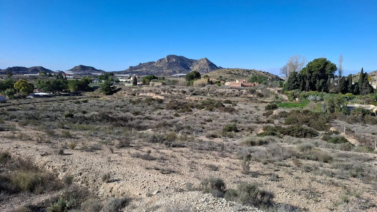 Land for sale in August, Alicante photo 5