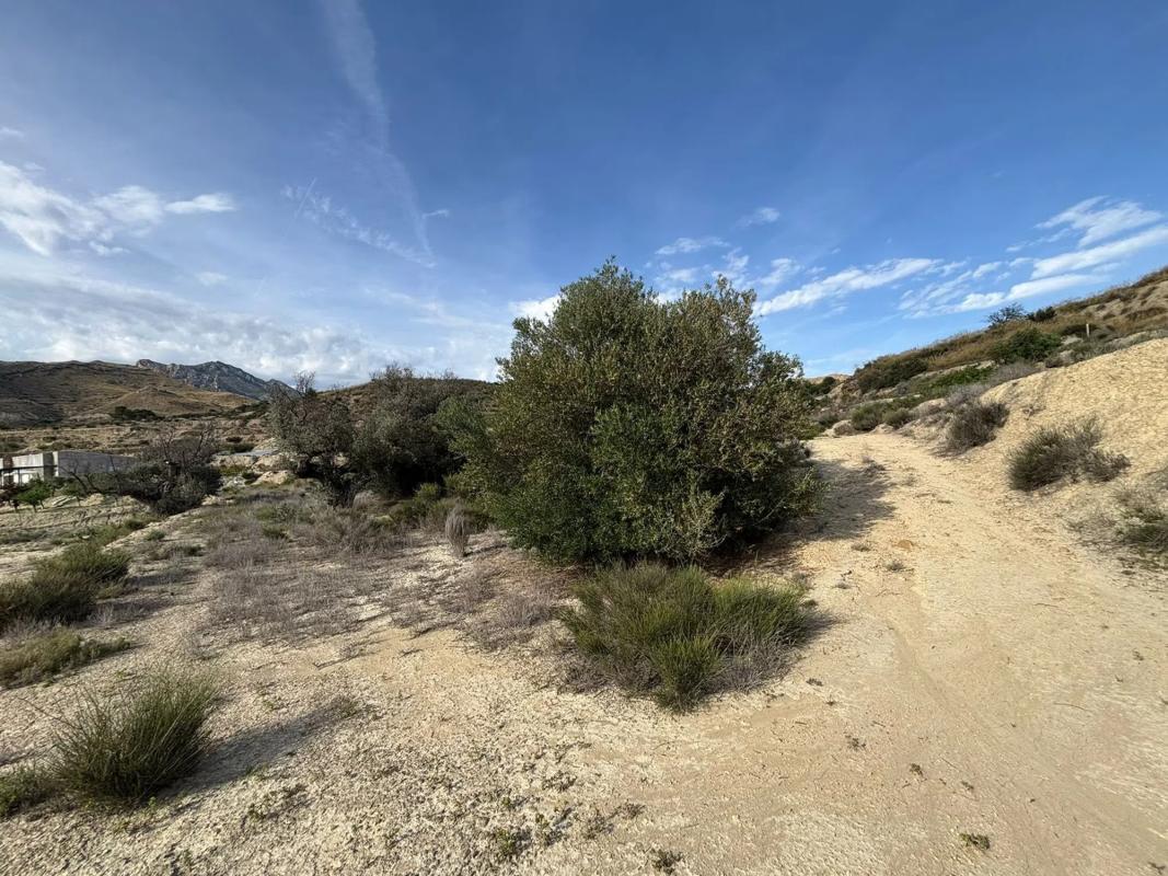 Terreno en venta en Busot, Alicante photo 5
