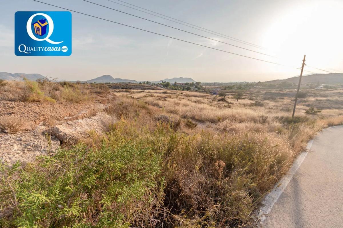 Land for sale in Moralet, Alicante photo 2