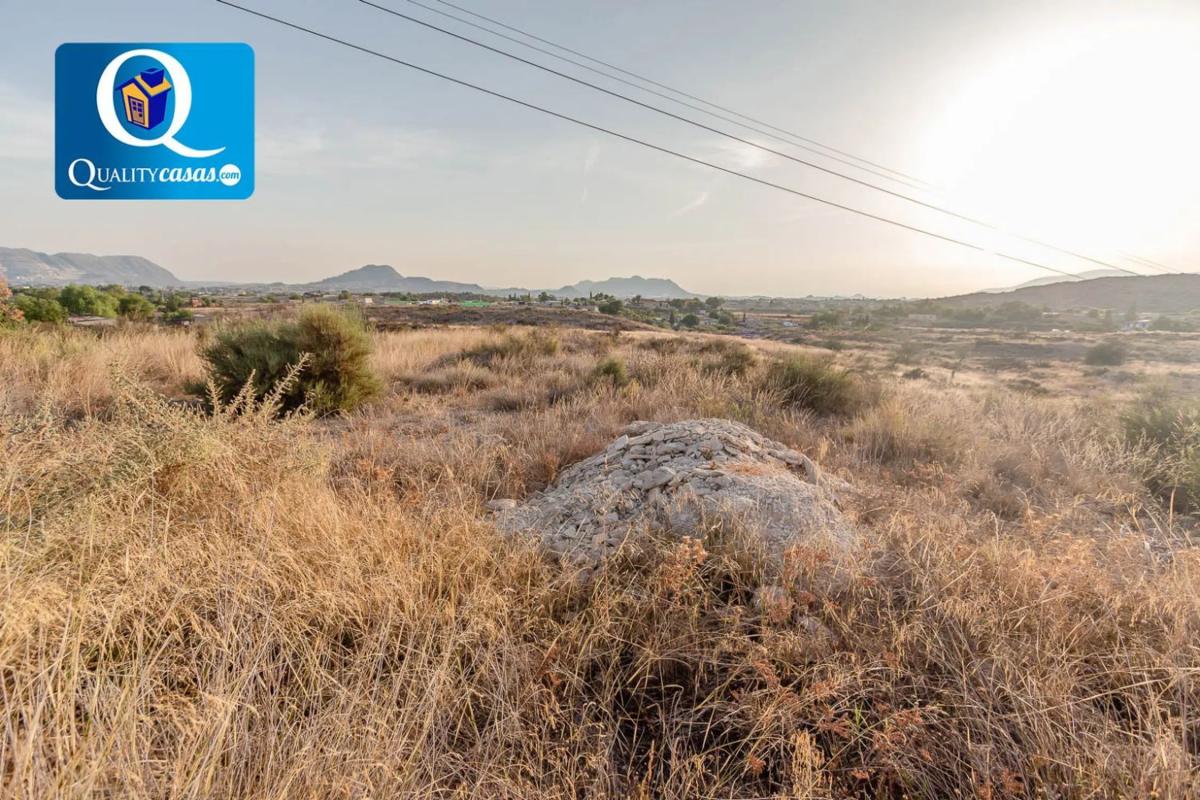 Land for sale in Moralet, Alicante photo 3