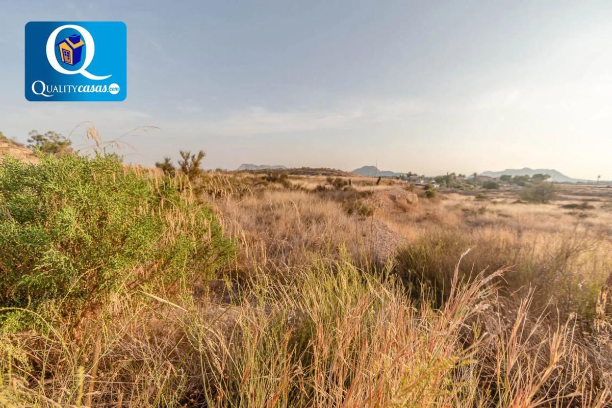 Land for sale in Moralet, Alicante photo 4