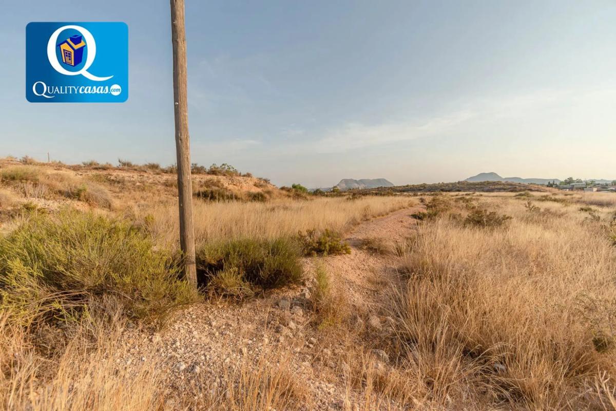 Land for sale in Moralet, Alicante photo 5