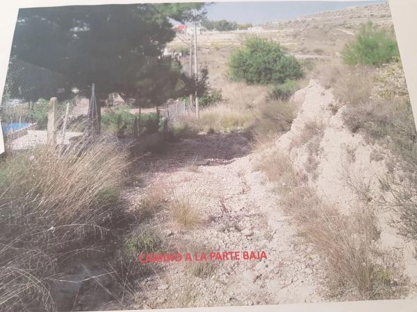 Terreno en Moralet, 11 Polgonopartida photo 4