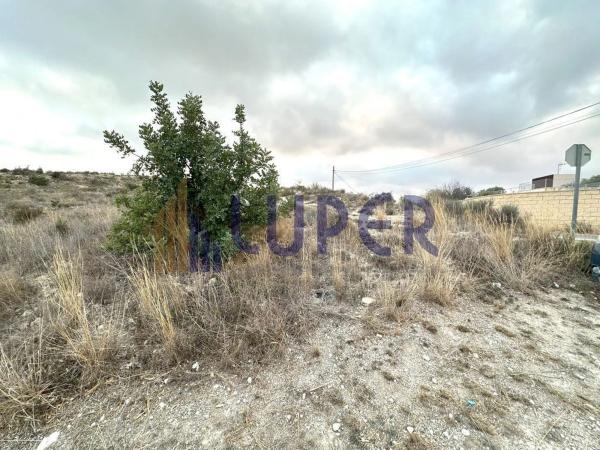 Terreno en Moralet photo 2
