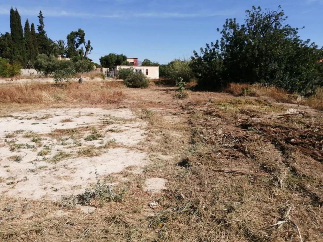 Terreno en venta en Mutxamel, Alicante photo 3
