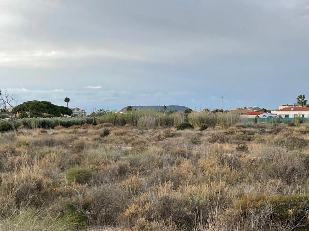 Land for sale in Mutxamel, Alicante photo 2