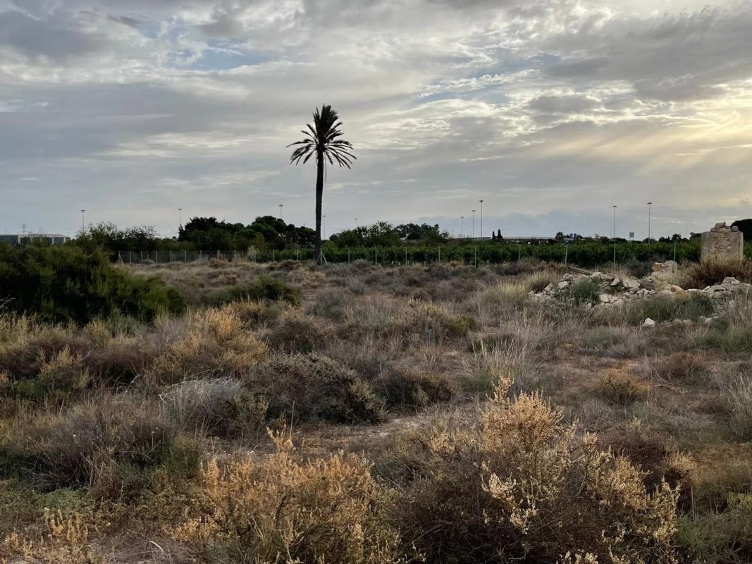 Land for sale in Mutxamel, Alicante photo 3