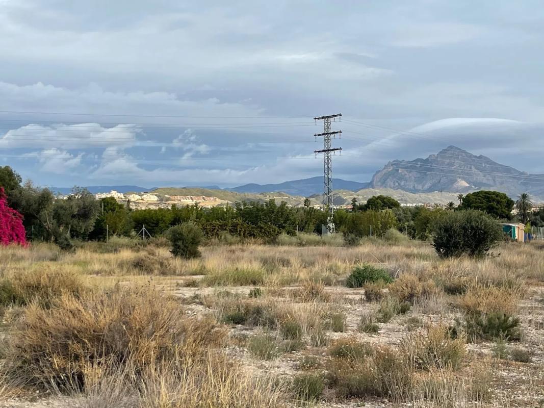 Land for sale in Mutxamel, Alicante photo 4