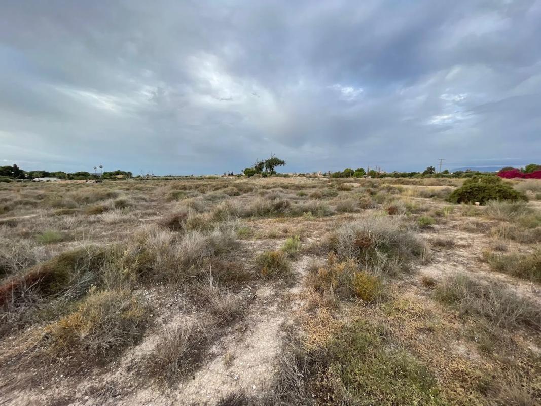 Land for sale in Mutxamel, Alicante photo 5