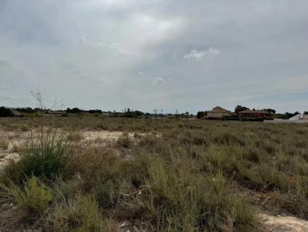 Terreno en La Huerta photo 3