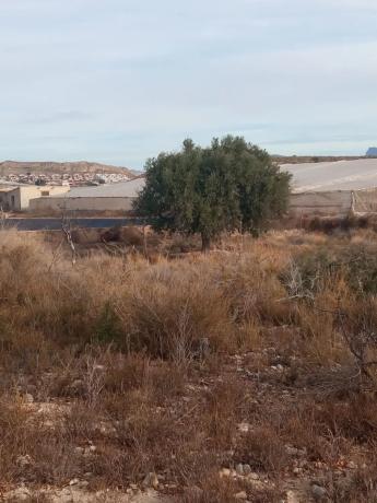 Terreno en calle del Mediterráneo photo 1