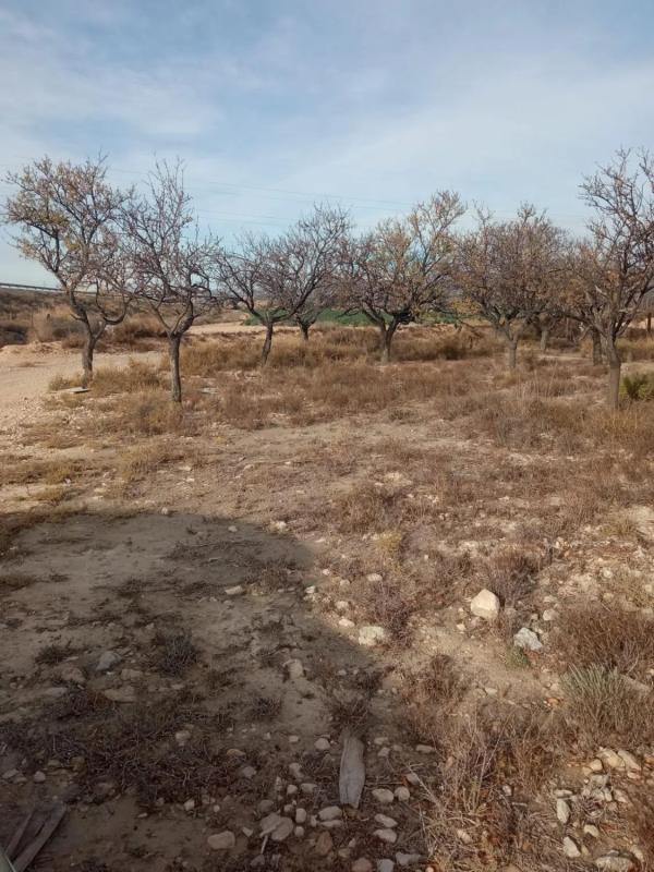 Terreno en venta en Mutxamel, Alicante photo 2