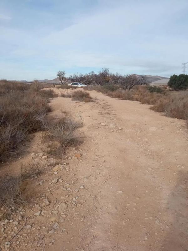 Terreno en venta en Mutxamel, Alicante photo 4