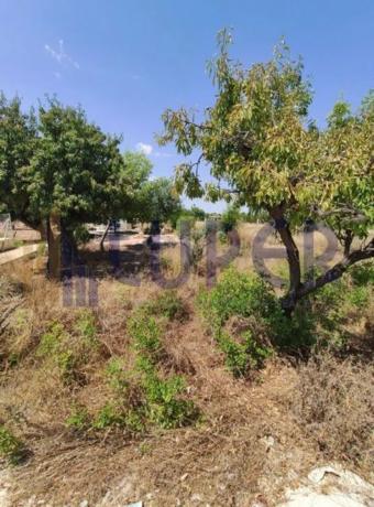 Terreno en Villamontes-Boqueres photo 4