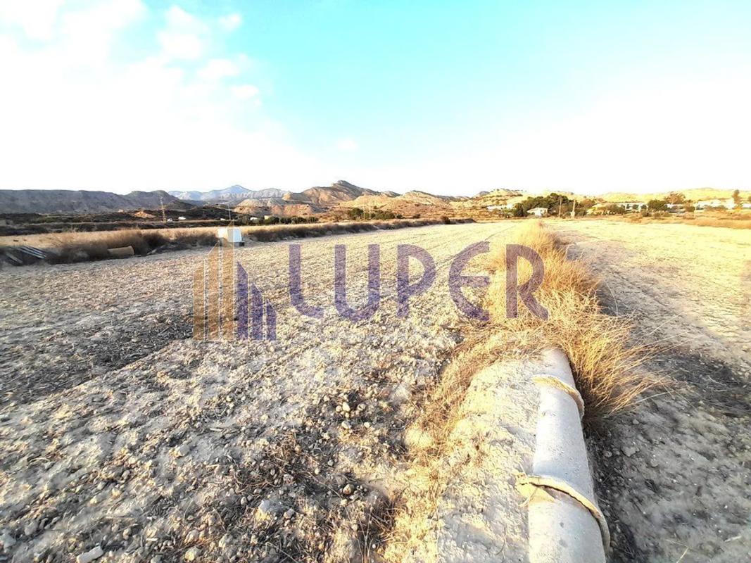 Terreno en venta en San Vicente del Raspeig, Alicante photo 5