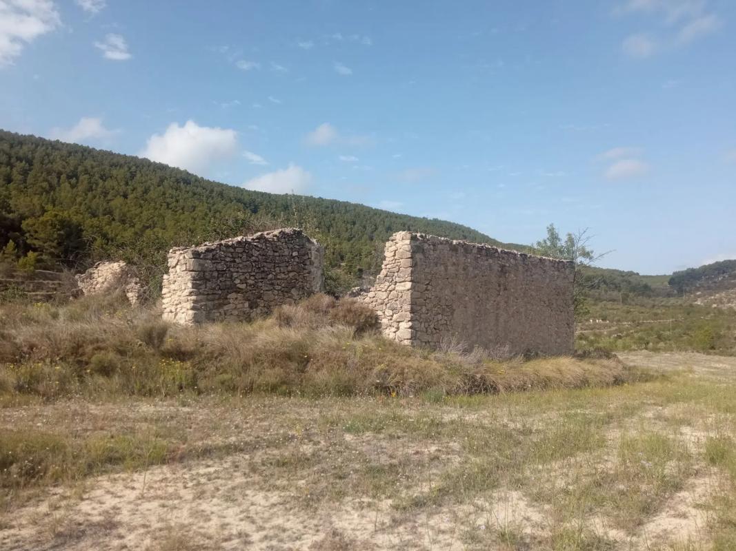 Land for sale in Torremanzanas, Alicante photo 2