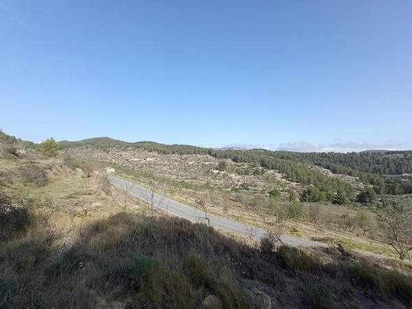 Terreno en Teix, 20 photo 3