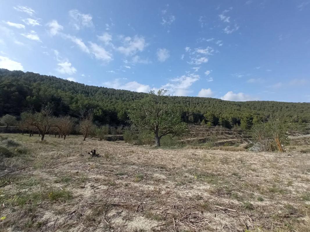 Land for sale in Torremanzanas, Alicante photo 4