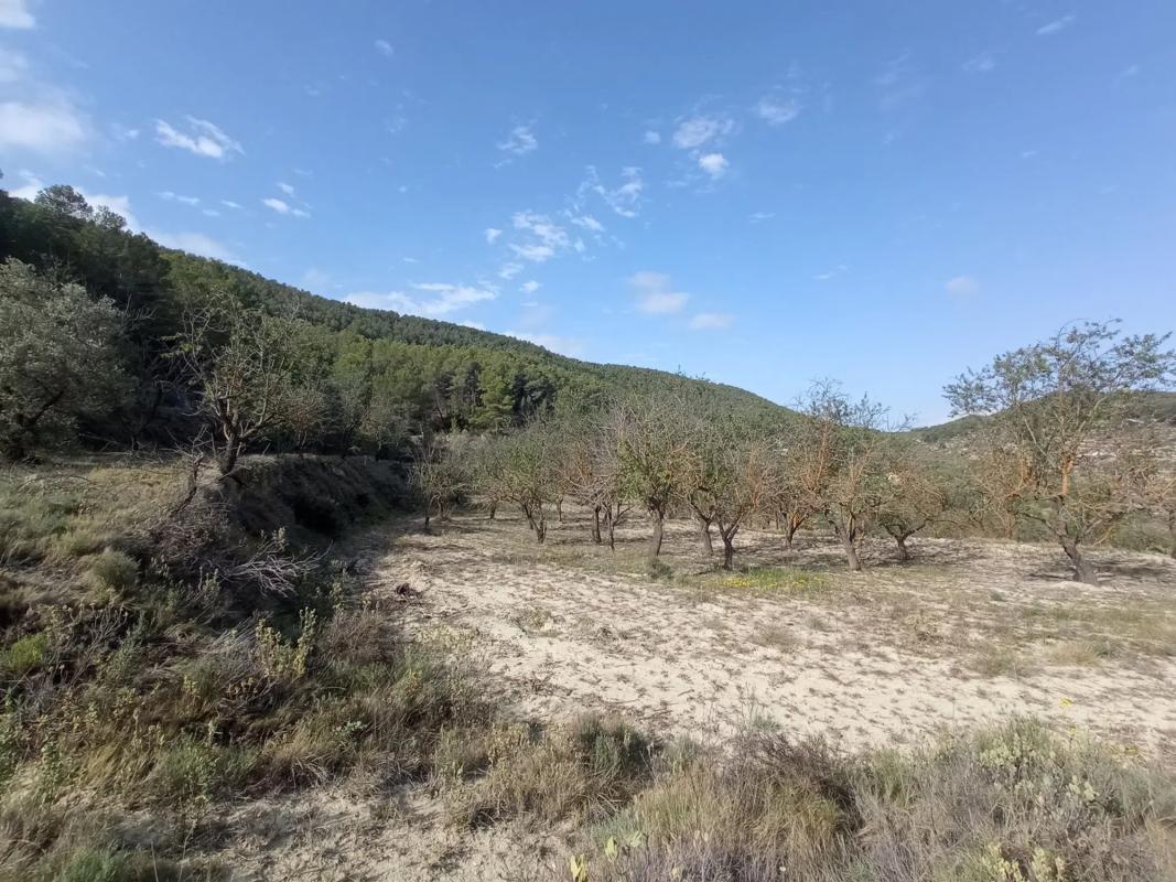Land for sale in Torremanzanas, Alicante photo 5