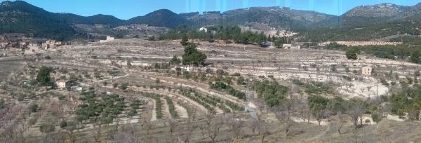 Terreno en Partida Colomer s/n photo 1