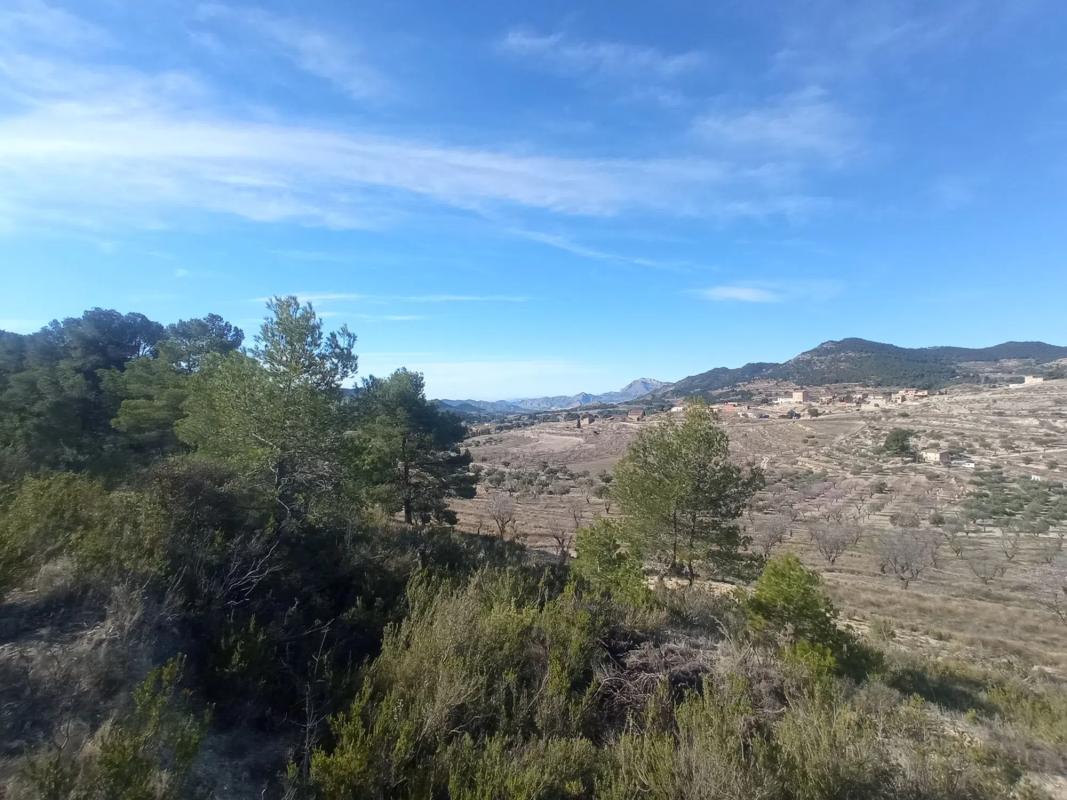 Terreno en venta en Torremanzanas, Alicante photo 2