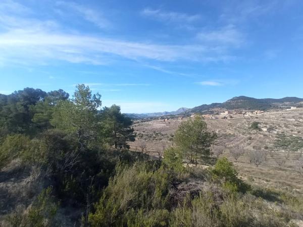 Terreno en Partida Colomer s/n photo 2