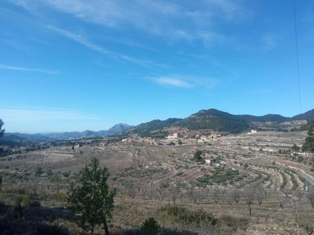 Terreno en venta en Torremanzanas, Alicante photo 3