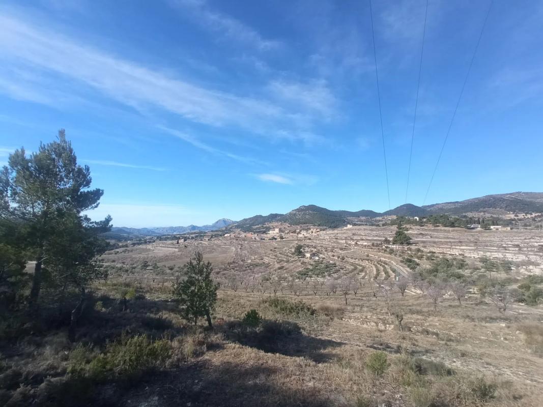 Terreno en venta en Torremanzanas, Alicante photo 4