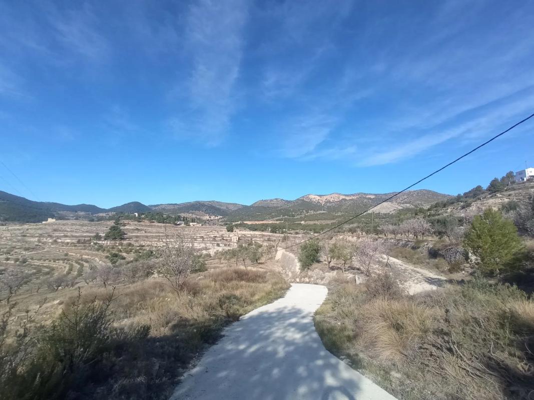 Terreno en venta en Torremanzanas, Alicante photo 5