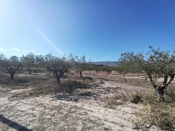 Terreno en Castalla photo 1