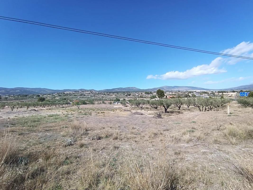 Działka na sprzedaż w Castalla, Alicante photo 3