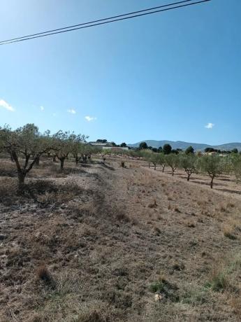Terreno en Castalla photo 4