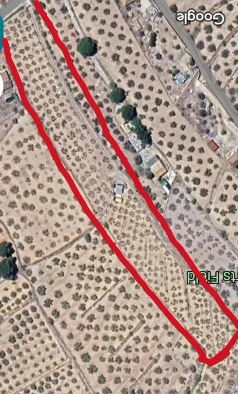 Terreno en venta en Onil, Alicante photo 4