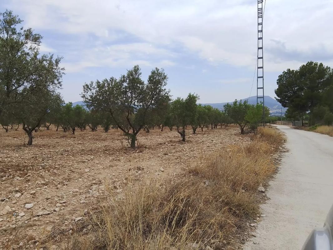 Land for sale in Onil, Alicante photo 2