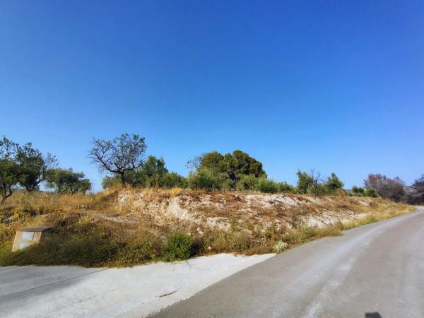 Terreno en poligono 4 parcela 126 s/n photo 1