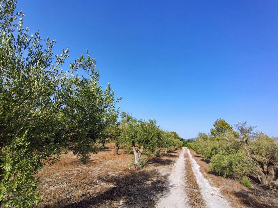 Terreno en venta en Penaguila, Alicante photo 2