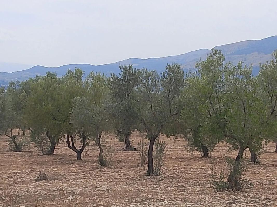 Land for sale in Onil, Alicante photo 5