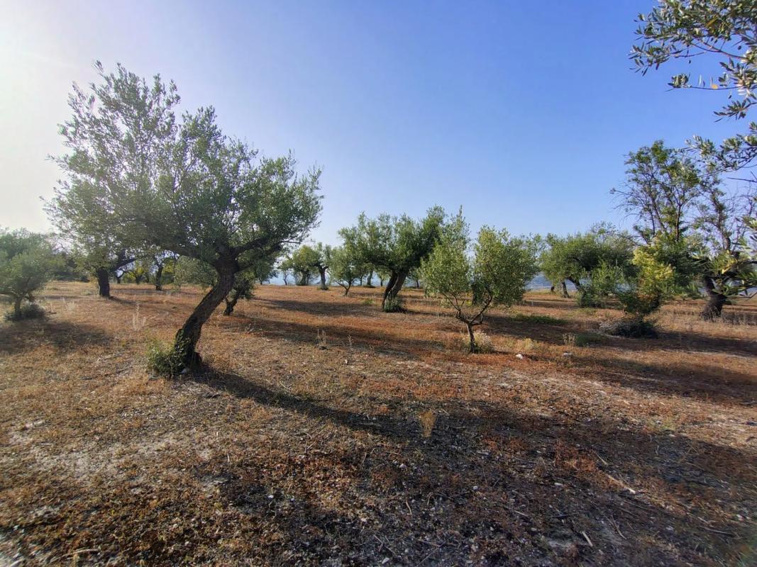 Terreno en venta en Penaguila, Alicante photo 5
