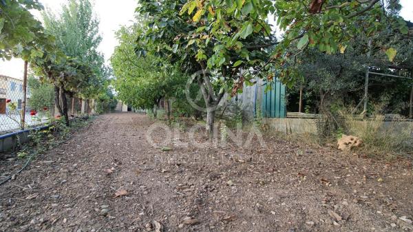 Terreno en Onil photo 1