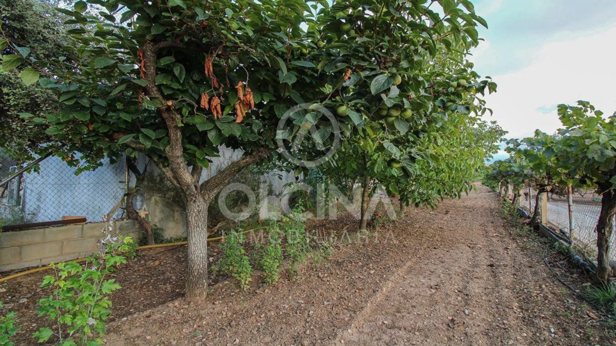 Land for sale in Onil, Alicante photo 4