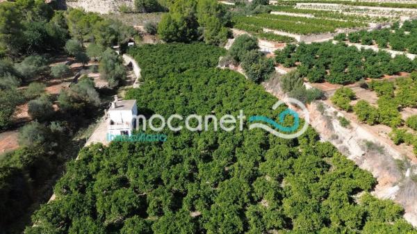 Terreno en Adsubia photo 2